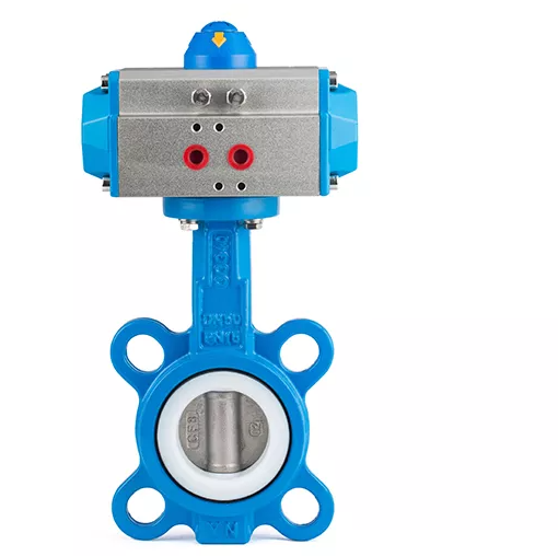 Anti-Corrosion ss304 Ductile Iron Carboon Steel PTFE lined butterfly valve